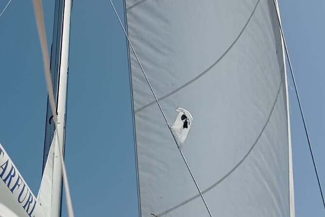 Daily Excursions on a Sailing Boat, Maddalena Archipelago - Meeting and End Points