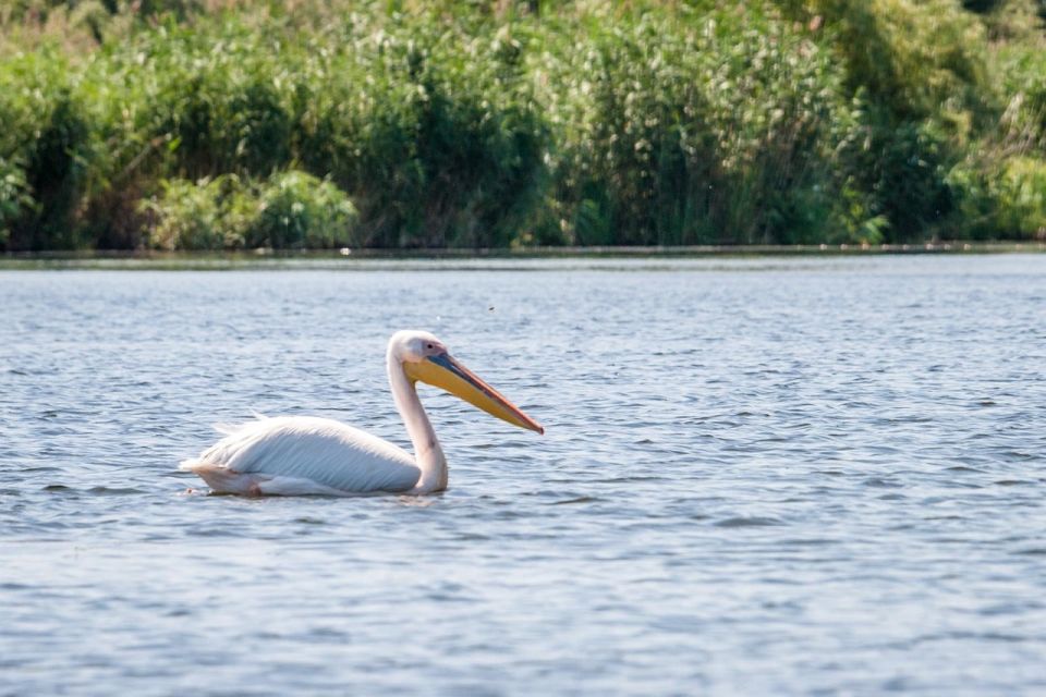 Danube Delta - 2-Day Tour From Bucharest - Danube Delta Highlights