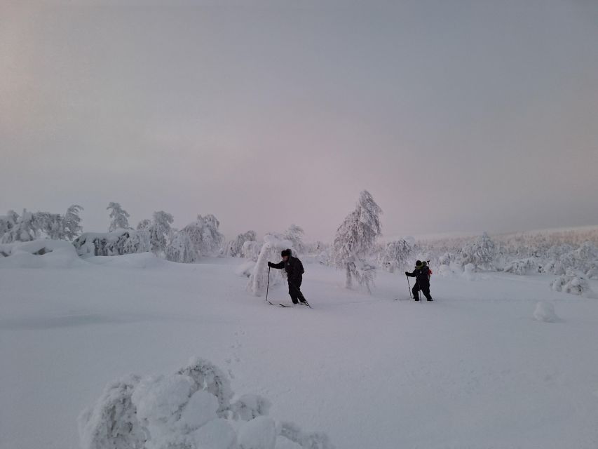 Day in the Tundra - Winter Trek & Smoke Sauna - Availability