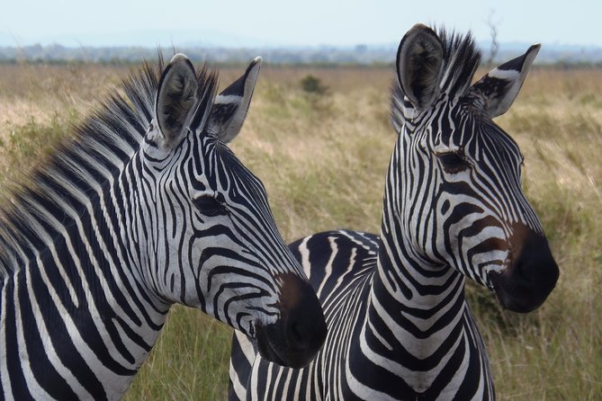 Day Trip in Mikumi National Park - Park Landscapes and Geography