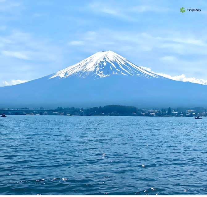 Discover Mount Fuji: Private Car/Van Day Tour From Tokyo - Customer Feedback