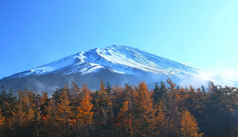 Discovery More Private Trip to Mt. Fuji With English Driver - Transportation and Pickup Details