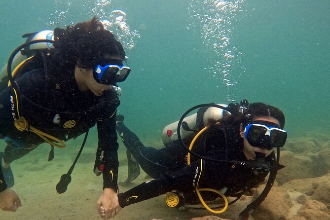 Discovery Scuba Diving in Dubai - Meeting and Pickup