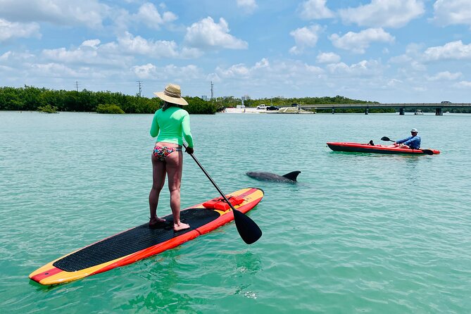 Dolphin and Manatee Adventure Tour of Fort Myers - Tour Guides and Customer Feedback