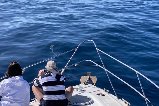 Dolphin Searching Tour in Puerto De Mogán (Keeper UNO Boat) - Intimate and Luxurious Experience