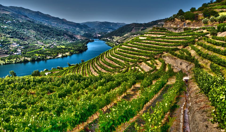 Douro Valley Private Tour With 2 Wine Tastings - Luxury Private Transport