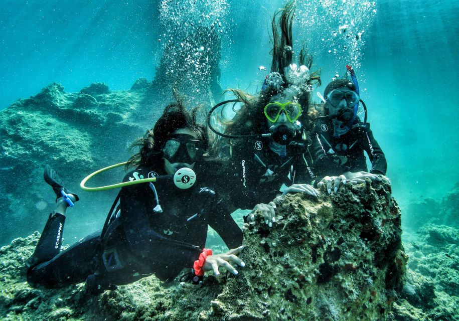 DSD | Guided Scuba Diving Experience in Paros - Diving Experience Details