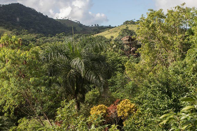 Dual Zipline Side-by-Side Adventure in Punta Cana - Meeting and Pickup