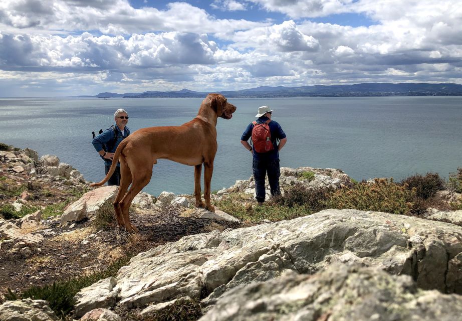 Dublin: Dublin Coastal Hiking Tour With Howth Adventures - Itinerary and Activities