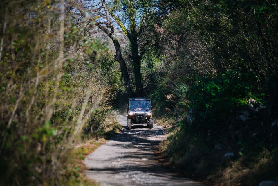 Dubrovnik: Private Panoramic Half-Day Buggy Tour With Brunch - Immersive Local Experiences