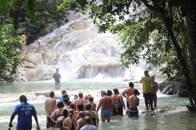 Dunns River Falls & Bob Marley - Exploring Bob Marleys Legacy