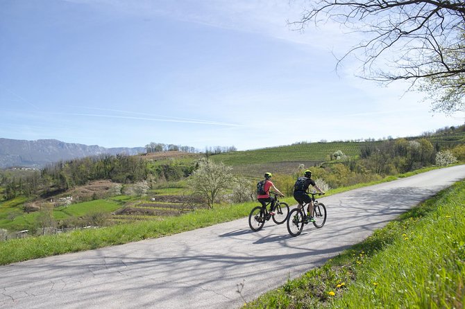 E-bike Vipava River Tour - Schedule and Availability