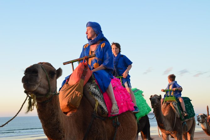 Essaouira: 1/2 Day Camel Ride With Meal. - Highlights of the Tour