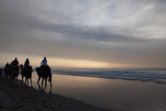 Essaouira Private Full Day Trip From Marrakech - Additional Information