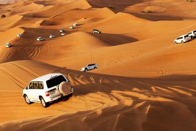 Evening Desert Safari in Dubai - Suitability and Accessibility