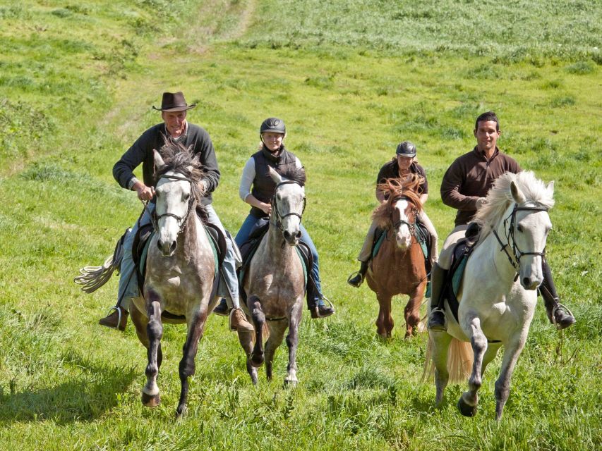 Faial Island: Horseback Riding (3 Hrs - Experienced Riders) - Highlights