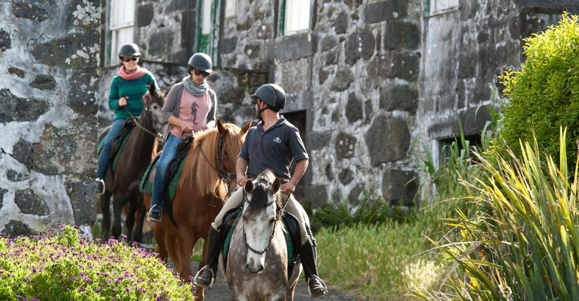 Faial Island: Horseback Riding on Lusitano Trail - Riding Through Green Meadows