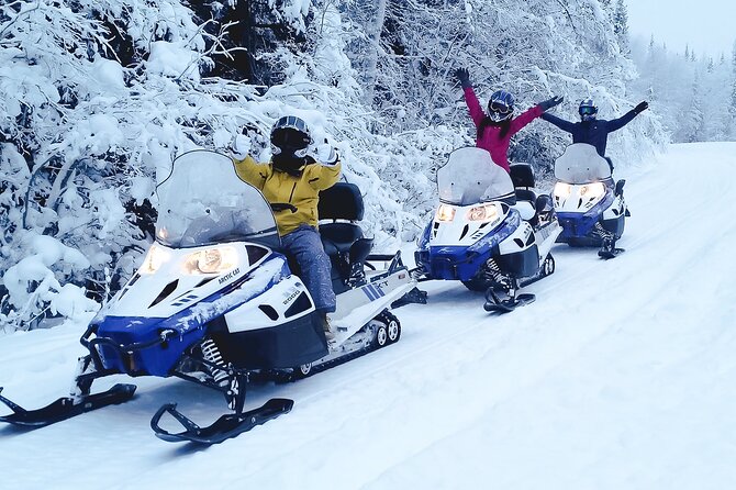 Fairbanks Snowmobile Adventure From North Pole - Health and Age Restrictions