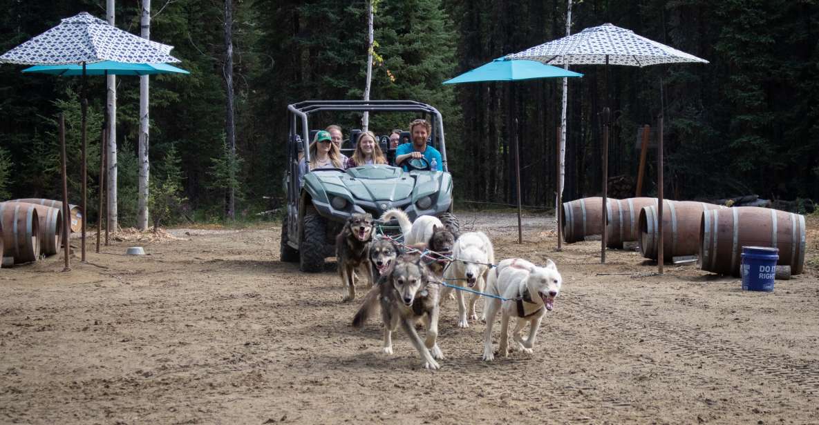 Fairbanks: Summer Mushing Cart Ride and Kennel Tour - Experience Highlights