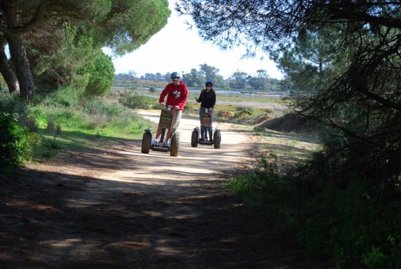 Faro: Ria Formosa Natural Park Segway Tour & Birdwatching - Segway Exploration