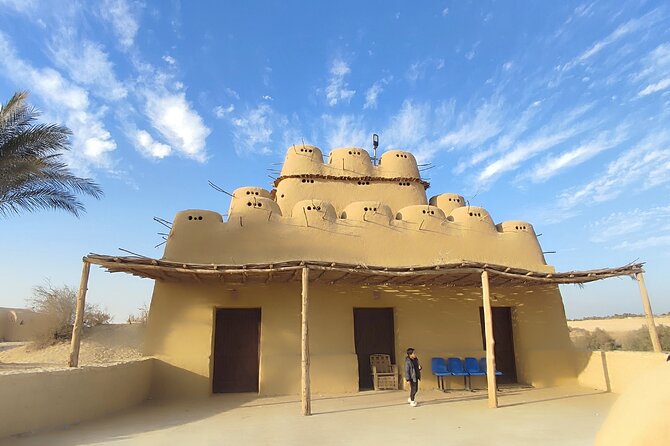 Fayoum Oasis Tour Explore Valley of the Whales and Water Falls - Private Tour Experience