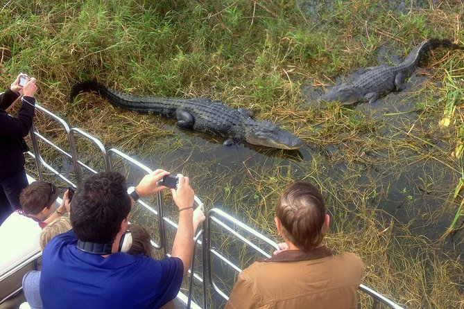 Florida Everglades Airboat Tour and Wild Florida Admission With Optional Lunch - Customer Reviews and Feedback