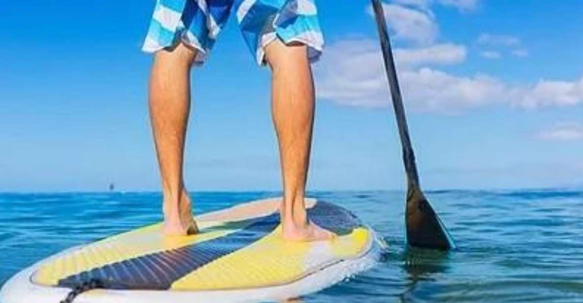 Fort Walton Beach: Paddle Board Rental - Paddle Board Rental Details