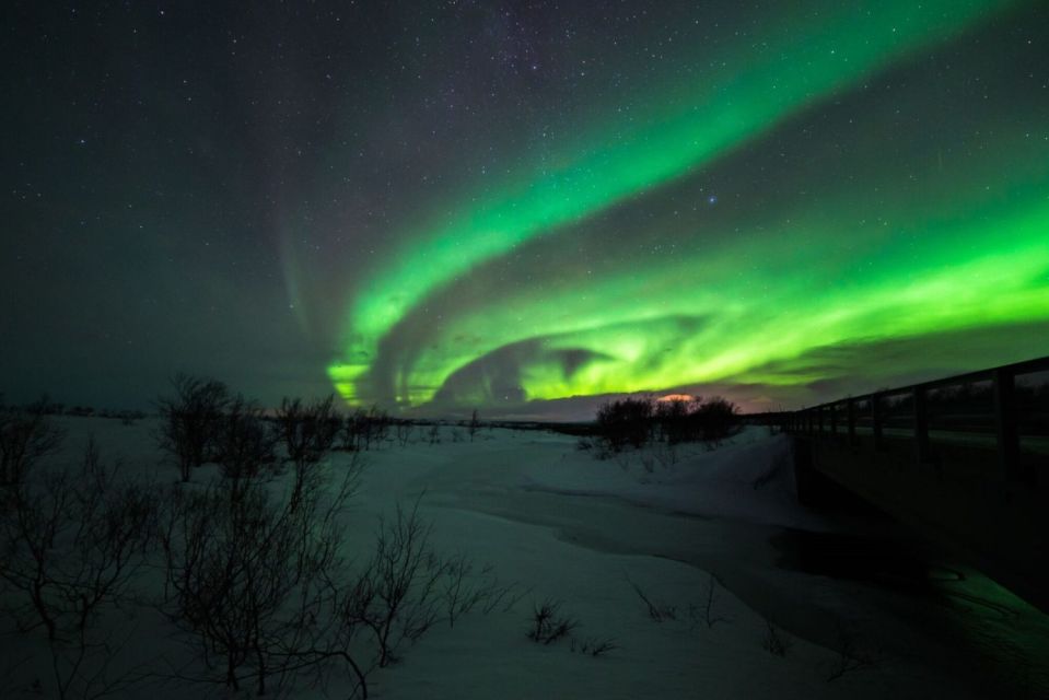 From Alta: Nighttime Northern Lights Spotting Tour - Professional Guide and Local Expertise