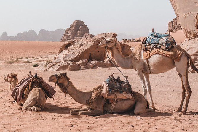 FROM AMMAN | Petra & Wadi Rum in One Day | the Jordanian Mappers - Physical Fitness