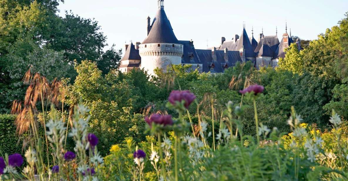 From Blois: Chaumont-sur-Loire, Nature, Wine And History - Bike Tour Along Loire