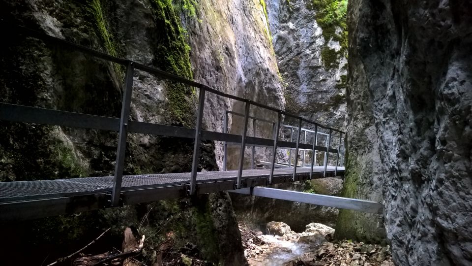 From Brasov: Day Trip to the Seven Ladders Canyon - Group Size and Pickup