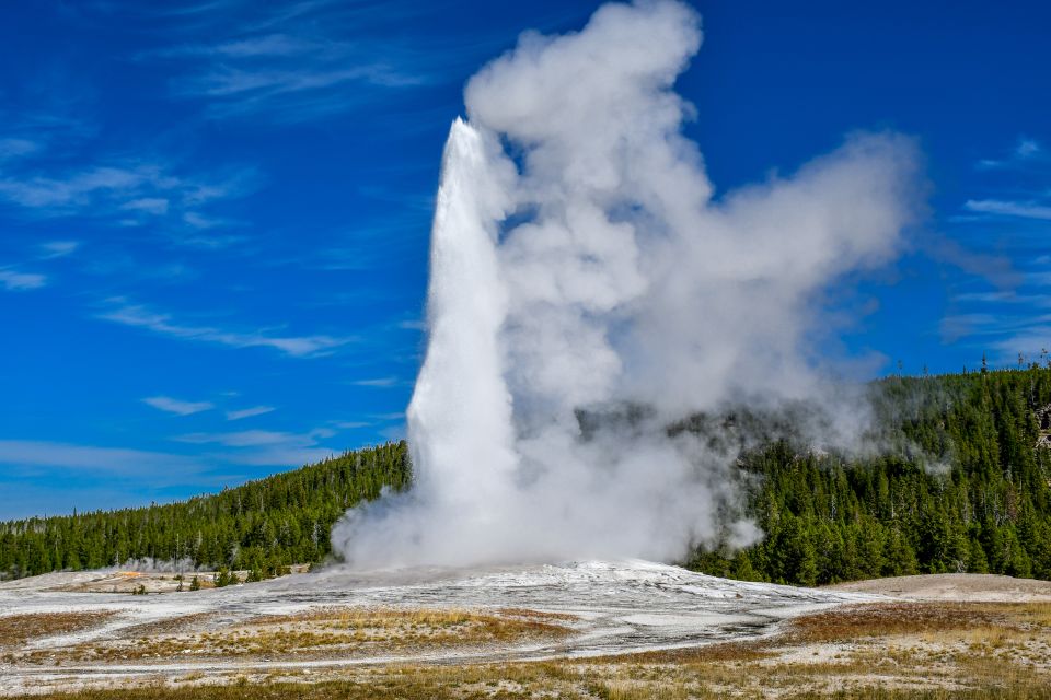 From Cody: Full-Day Yellowstone National Park Tour - Inclusions and Accessibility