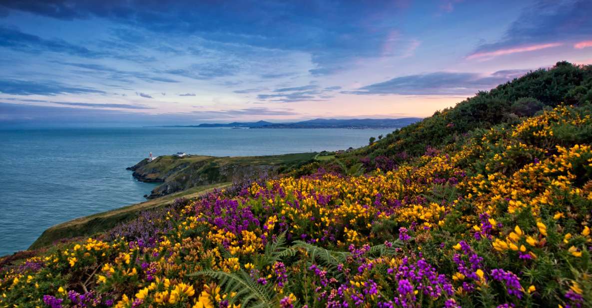 From Dublin: Half-Day Guided Coastal Tour to Howth Village - Highlights