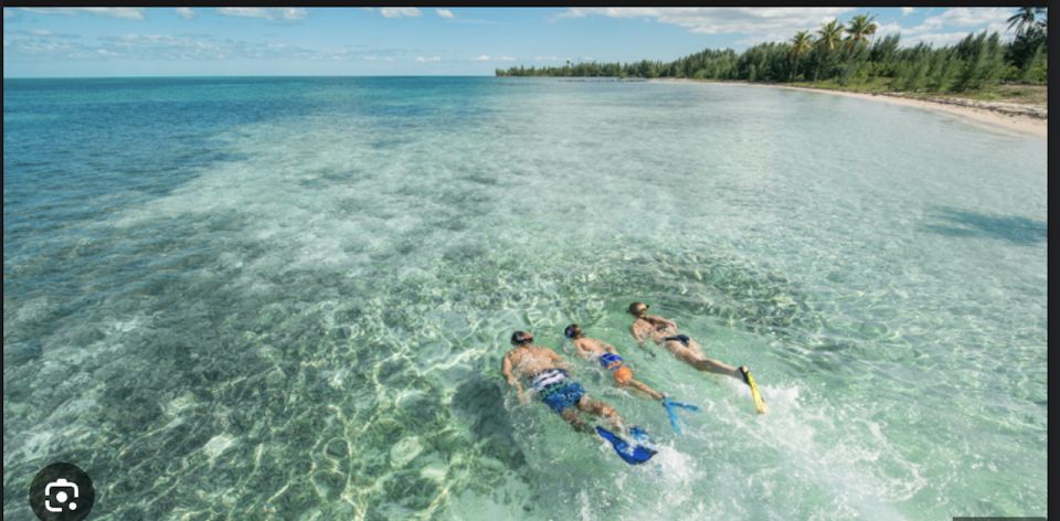 From Fort Lauderdale: Freeport Bahamas Day Cruise - Snorkeling in Crystal-Clear Waters