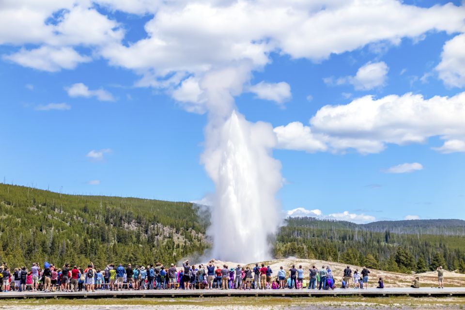 From Jackson: Yellowstone Day Tour Including Entrance Fee - Inclusions