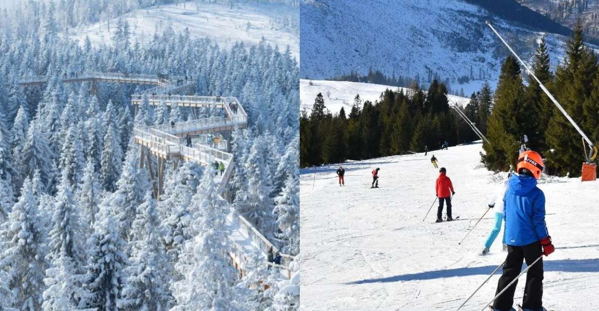 From Kraków: Slovakia Treetop Walk & 4-Hour Ski Pass - Skiing Adventure