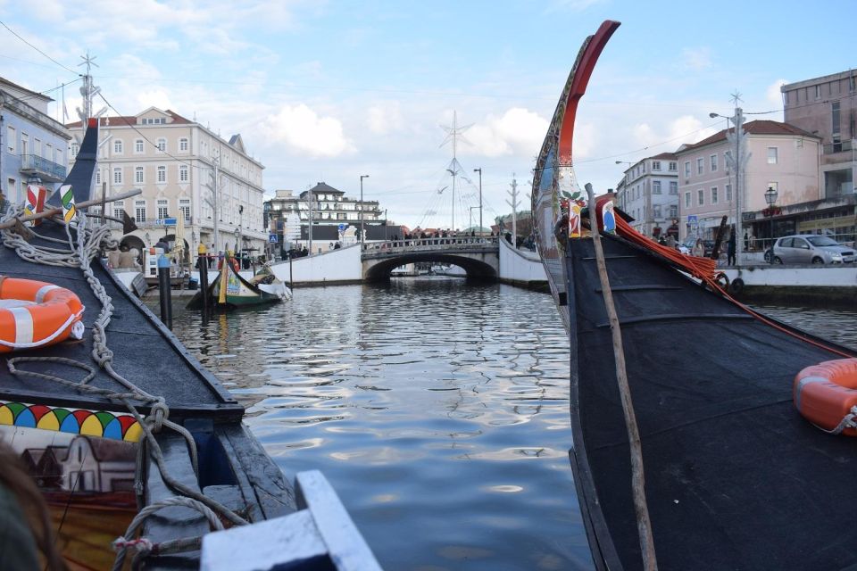 From Lisbon: Aveiro and Coimbra Food Experience - Boat Ride Through Canals