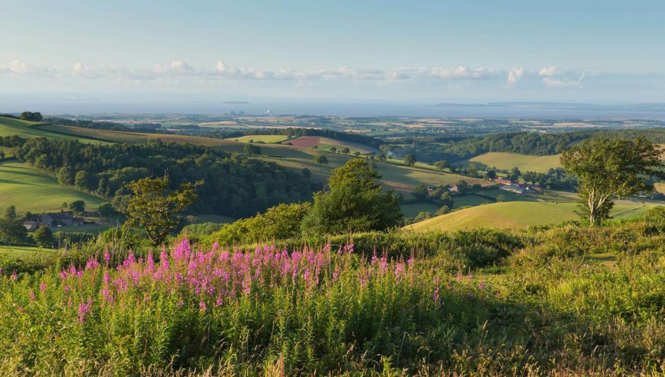 From London: Canterbury & White Cliffs of Dover Tour - Self-guided Canterbury Tour