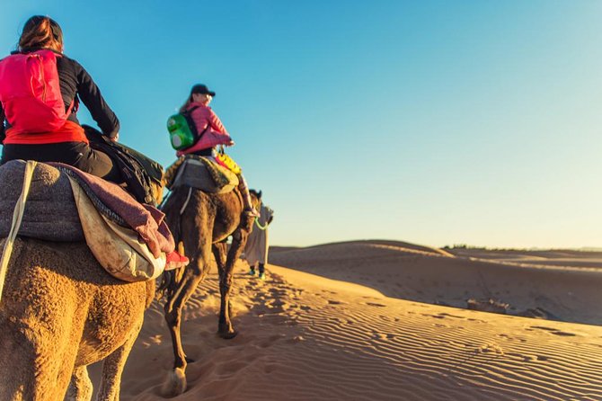 From Marrakech To Fes Through The Desert Of Merzouga: Shared - Camel Safari in Merzouga Desert