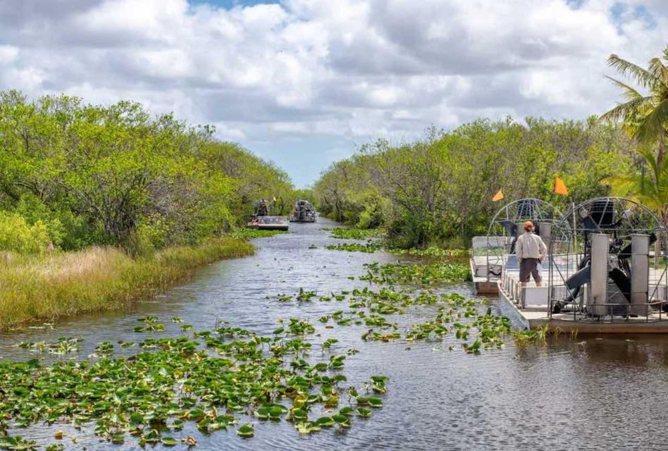 From Miami: Everglades Wildlife Show, Airboat & Bus Transfer - Miami Sightseeing Tour