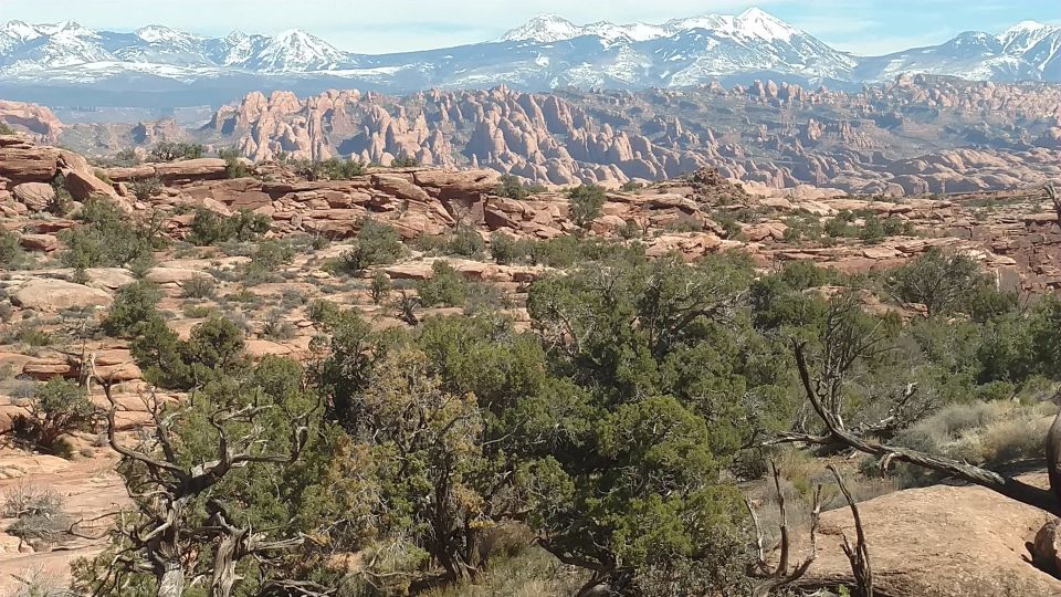 From Moab: Rock of Ages Moderate Rappelling Obstacle Course - Inclusions