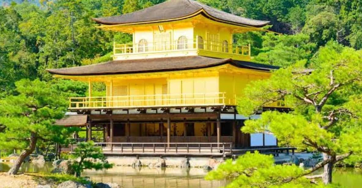 From Osaka: Kyoto Full Day Sightseeing Private Tour - Transportation and Inclusions