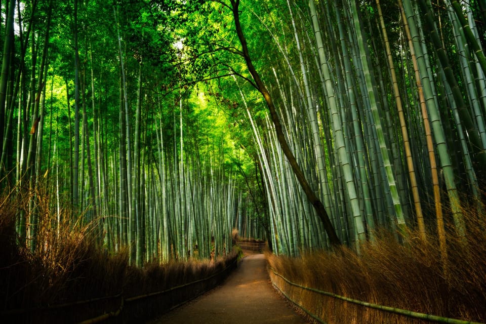 From Osaka to Kyoto: Arashiyama Bamboo Forest Tour - Transportation and Costs