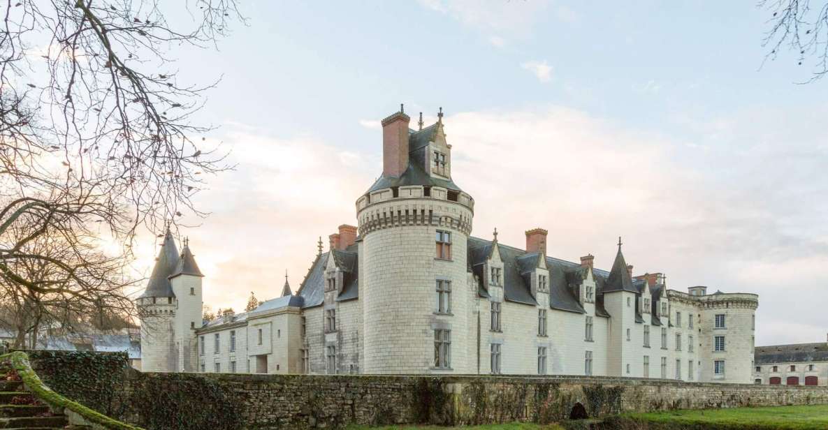 From Poitiers: Private Visit to the Castle of Dissay - Visiting the Castles Private Church