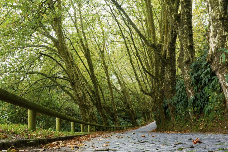 From Ponta Delgada: Guided Walking Tour to Salto Do Cabrito - Nature and Historical Insights