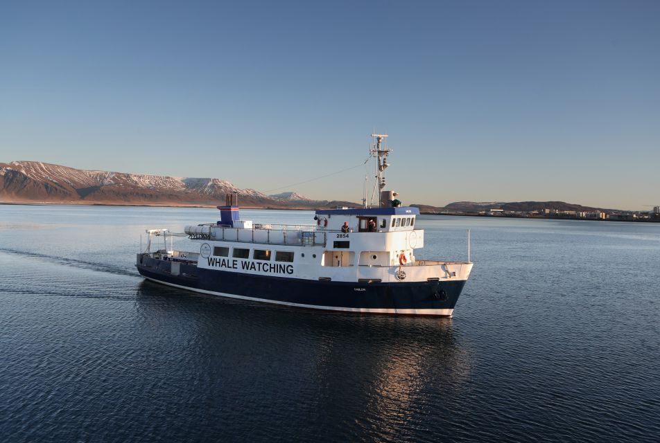 From Reykjavik: New Years Fireworks by Boat - Viewing the Fireworks Display