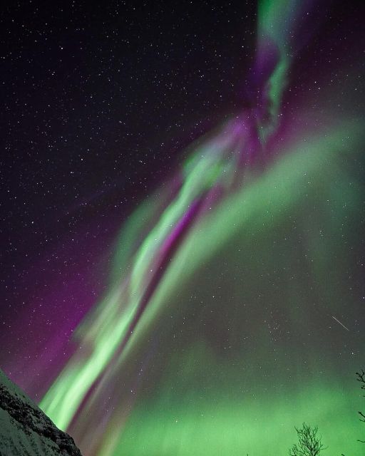 From Rovaniemi: Aurora Dreamscape Tour in the Wild - Pricing and Reservations