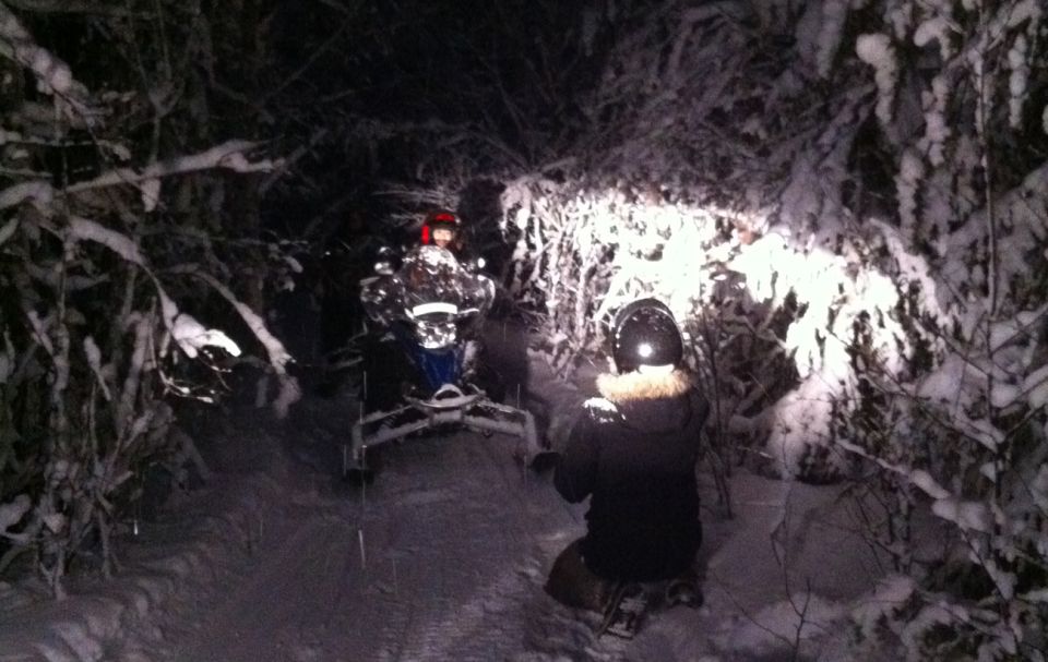 From Rovaniemi: Night Snowmobile Safari - Activities on the Safari