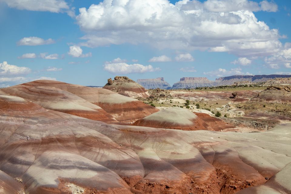 From Salt Lake City: Private Capitol Reef National Park Tour - Inclusions in the Tour