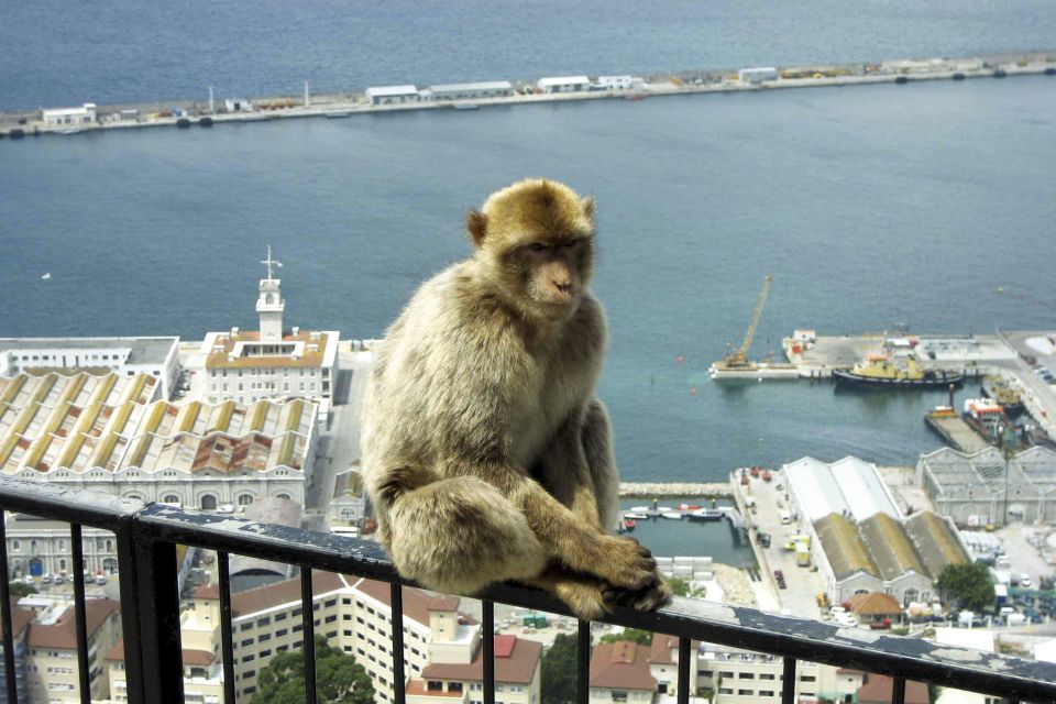 From Seville: Day Trip to Gibraltar - Itinerary Highlights